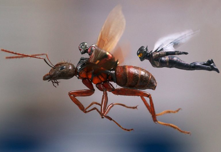 Recensie Ant-Man and the Wasp