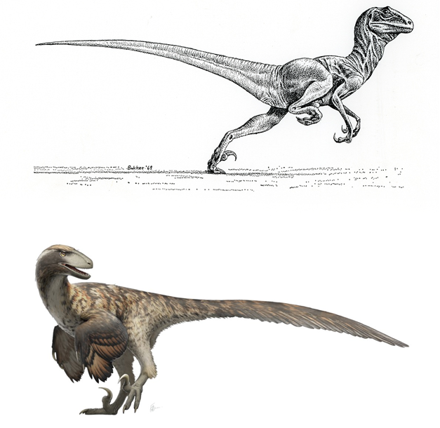 Blog | Dinosaurussen in Hollywood | Deel 2 (Sandro Algra) - Deinonychus